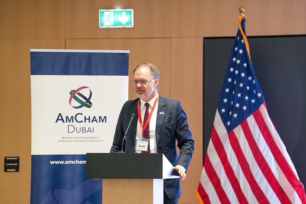 Dubai Airshow 2025 - AmCham Dubai