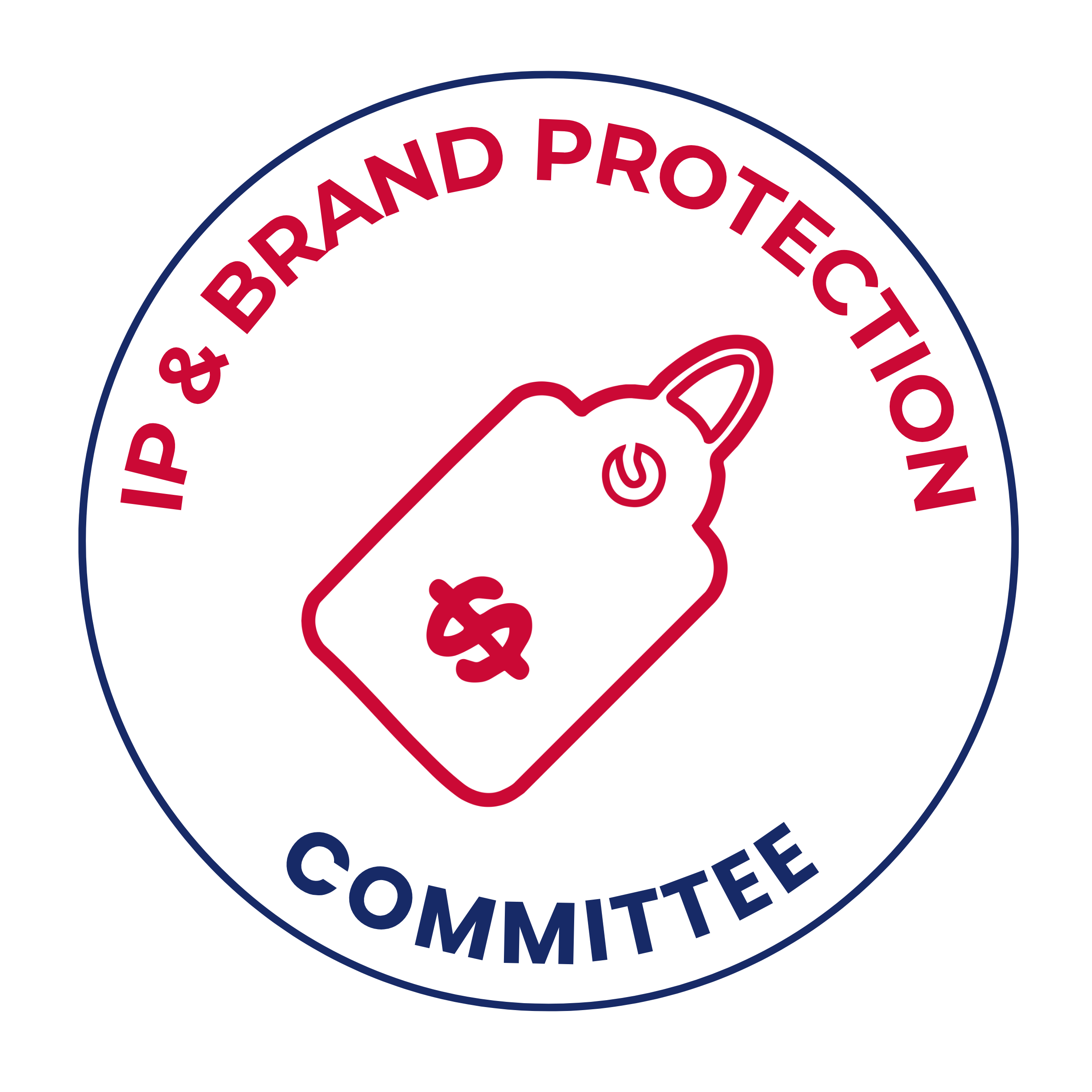 IP & Brand Protection Committee