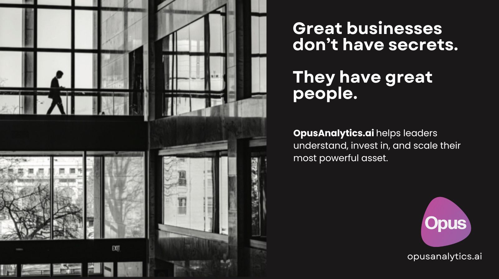 OpusAnalytics.ai